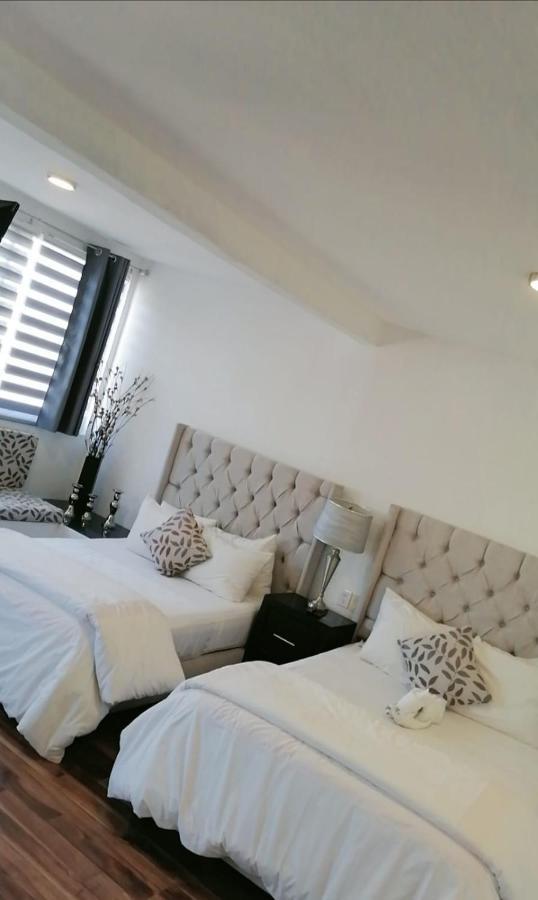 M Hoteles Concepto 모렐리아 외부 사진